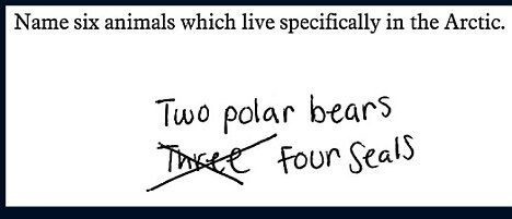 Artic Exam Question