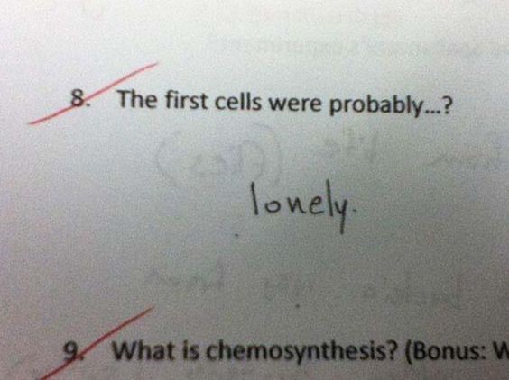 Lonely Exam Question.jpg