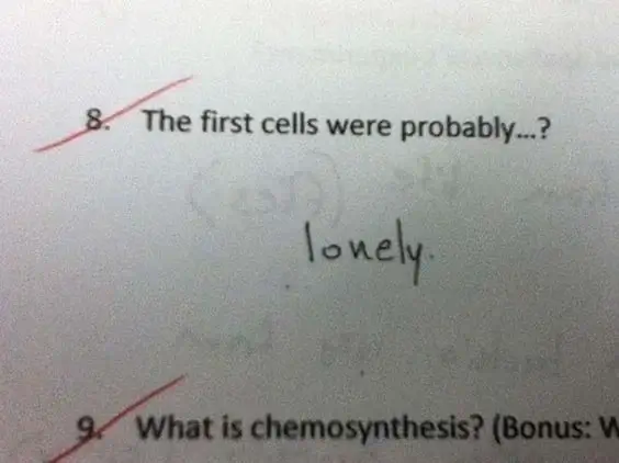 Lonely Exam Question